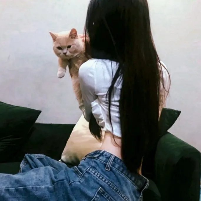 艺术情事